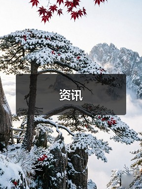 资讯(图4) 资讯(图4)