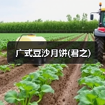 广式豆沙月饼(君之)(图2) 广式豆沙月饼(君之)(图2)