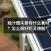 鲍汁翅尖羹有什么食材？怎么做好吃又特别？（图1）