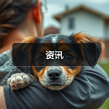 资讯(图2) 资讯(图2)