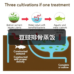 豆豉排骨蒸饭(图1) 豆豉排骨蒸饭(图1)