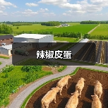 辣椒皮蛋（图3）