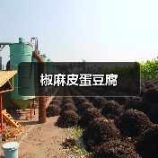 椒麻皮蛋豆腐(图4) 椒麻皮蛋豆腐(图4)