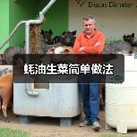 蚝油生菜简单做法(图2) 蚝油生菜简单做法(图2)