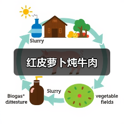 红皮萝卜炖牛肉（图2）