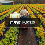 红皮萝卜炖猪肉(图4) 红皮萝卜炖猪肉(图4)