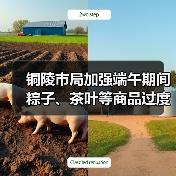 铜陵市局加强端午期间粽子、茶叶等商品过度包装监管(图3) 铜陵市局加强端午期间粽子、茶叶等商品过度包装监管(图3)