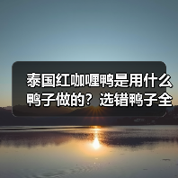 泰国红咖喱鸭是用什么鸭子做的?选错鸭子全白搭!(图2) 泰国红咖喱鸭是用什么鸭子做的?选错鸭子全白搭!(图2)