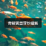 青椒黄豆芽炒腊肠(图4) 青椒黄豆芽炒腊肠(图4)