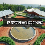 正宗豆豉蒸排骨的做法（图2）