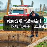 教你分辨“返青粽叶”,吃放心粽子|上海市消保委现代农业办(图1) 教你分辨“返青粽叶”,吃放心粽子|上海市消保委现代农业办(图1)