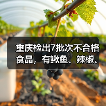 重庆检出7批次不合格食品，有鳅鱼、辣椒、腊肉等（图4）