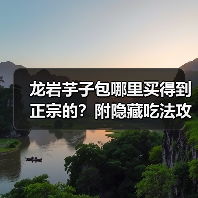龙岩芋子包哪里买得到正宗的?附隐藏吃法攻略!(图4) 龙岩芋子包哪里买得到正宗的?附隐藏吃法攻略!(图4)