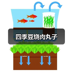 四季豆烧肉丸子（图3）
