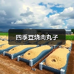 四季豆烧肉丸子（图4）