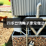 四季豆烧鸭子家常做法(图2) 四季豆烧鸭子家常做法(图2)