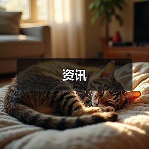 资讯(图2) 资讯(图2)