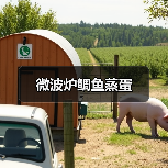 微波炉鲷鱼蒸蛋（图1）