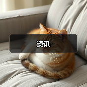 资讯（图1）