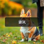 资讯(图2) 资讯(图2)