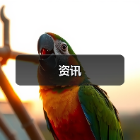 资讯(图2) 资讯(图2)