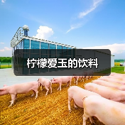 柠檬爱玉的饮料(图4) 柠檬爱玉的饮料(图4)
