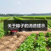关于粽子的消费提示(图4) 关于粽子的消费提示(图4)