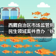 西藏自治区市场监管局民生领域案件查办“铁拳”行动典型案例（第一批）（图1）