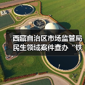 西藏自治区市场监管局民生领域案件查办“铁拳”行动典型案例（第一批）（图3）