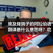 埃及烤鸽子的阿拉伯语翻译是什么意思呀?吃货必看冷知识!(图3) 埃及烤鸽子的阿拉伯语翻译是什么意思呀?吃货必看冷知识!(图3)