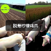 脱骨柠檬鸡爪（图1）