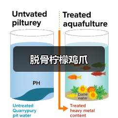 脱骨柠檬鸡爪（图2）
