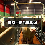 羊肉手抓饭电饭煲（图4）