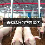 香辣鸡丝的正宗做法(图1) 香辣鸡丝的正宗做法(图1)