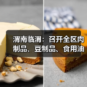 渭南临渭：召开全区肉制品、豆制品、食用油等小作坊落实主体责任业务培训会（图2）