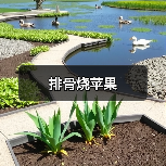排骨烧苹果（图4）