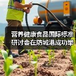 营养健康食品国际标准研讨会在防城港成功举办(图4) 营养健康食品国际标准研讨会在防城港成功举办(图4)