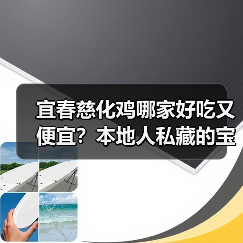 宜春慈化鸡哪家好吃又便宜?本地人私藏的宝藏店铺大公开!(图4) 宜春慈化鸡哪家好吃又便宜?本地人私藏的宝藏店铺大公开!(图4)