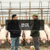 资讯（图1）