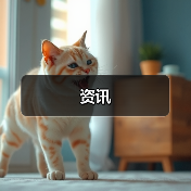 资讯(图2) 资讯(图2)