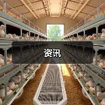 资讯（图3）