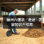 梧州六堡茶“走进”国家知识产权局(图1) 梧州六堡茶“走进”国家知识产权局(图1)