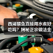 西湖醋鱼直接用水煮好吃吗?揭秘正宗做法全攻略!(图1) 西湖醋鱼直接用水煮好吃吗?揭秘正宗做法全攻略!(图1)