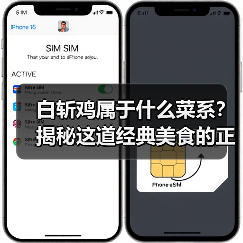 白斩鸡属于什么菜系?揭秘这道经典美食的正宗来源!(图1) 白斩鸡属于什么菜系?揭秘这道经典美食的正宗来源!(图1)