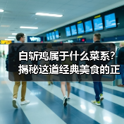 白斩鸡属于什么菜系?揭秘这道经典美食的正宗来源!(图3) 白斩鸡属于什么菜系?揭秘这道经典美食的正宗来源!(图3)