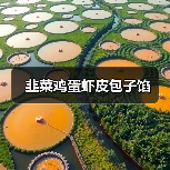 韭菜鸡蛋虾皮包子馅(图3) 韭菜鸡蛋虾皮包子馅(图3)