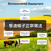 葱油蛏子正宗做法(图1) 葱油蛏子正宗做法(图1)