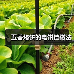 五香烙饼的电饼铛做法(图3) 五香烙饼的电饼铛做法(图3)