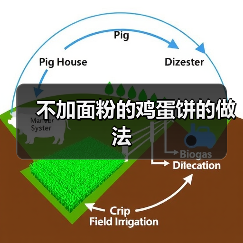 不加面粉的鸡蛋饼的做法(图4) 不加面粉的鸡蛋饼的做法(图4)