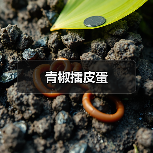 青椒擂皮蛋(图3) 青椒擂皮蛋(图3)